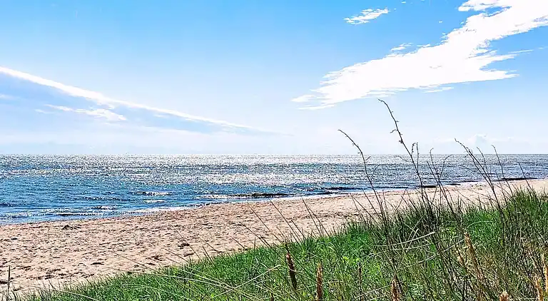 Sommerhus i Væggerløse