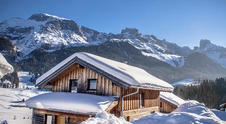 Cottage in Annaberg im Lammertal
