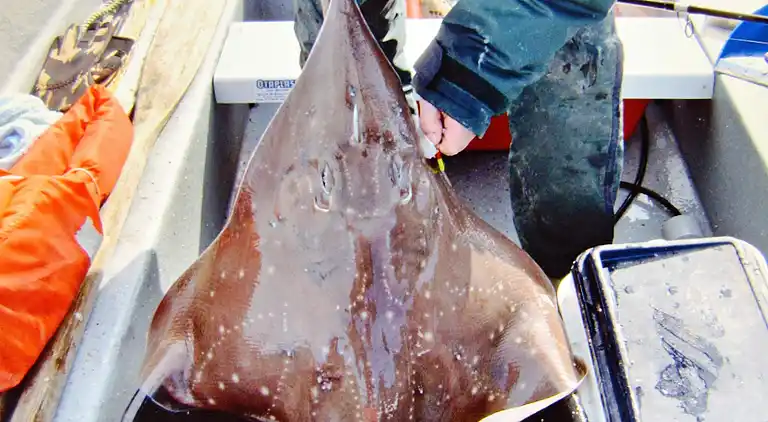 Holiday home in Eidsvåg