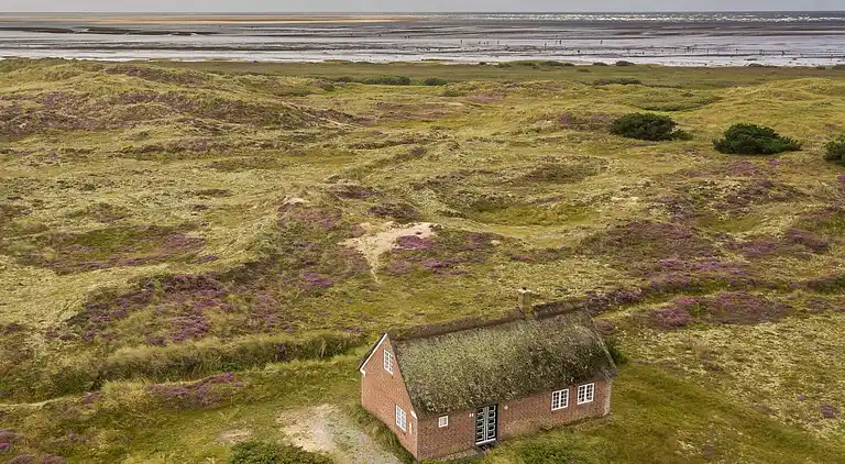 Sommerhus på Fanø