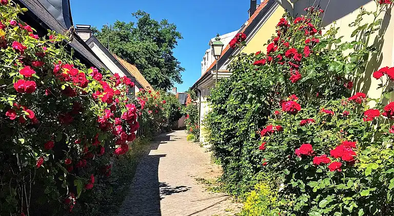 Sommerhus i Bingeby-Österby