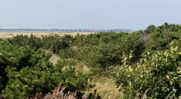 Vakantiehuis in Fanø