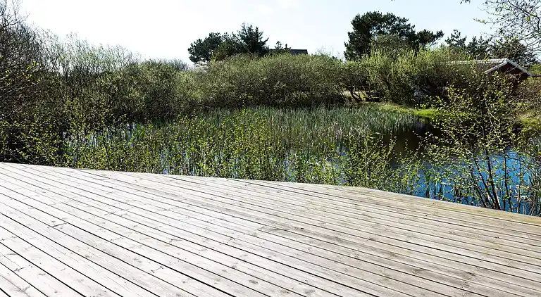Sommerhus ved Rindby Strand