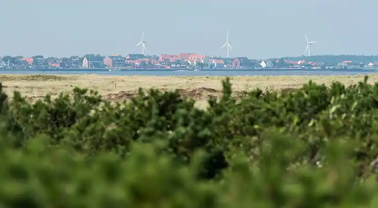 Vakantiehuis in Fanø