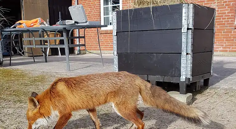 Semesterbostad vid Rindby Strand
