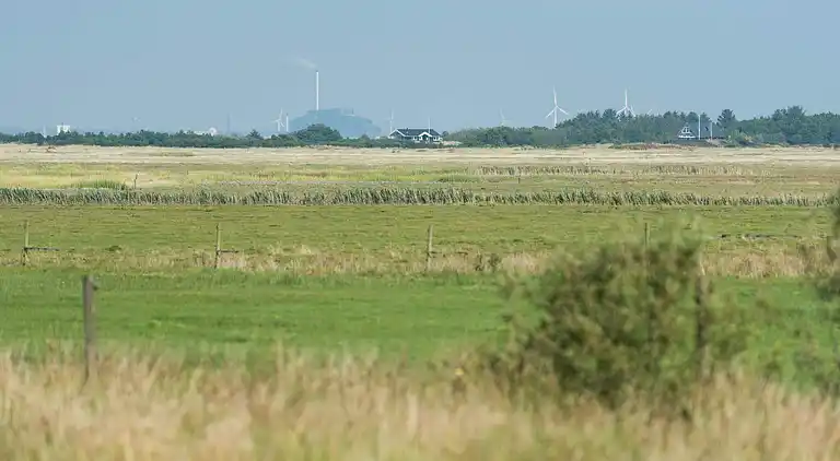 Vakantiehuis in Fanø