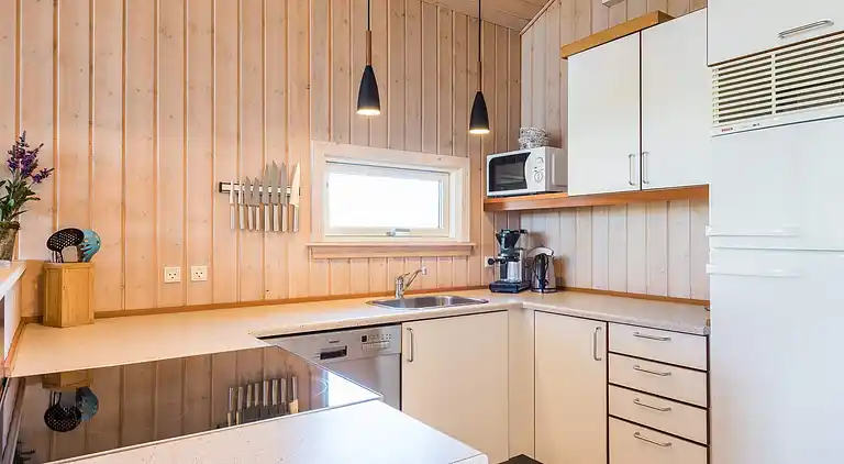 Sommerhus ved Skaven Strand