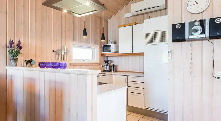 Sommerhus ved Skaven Strand