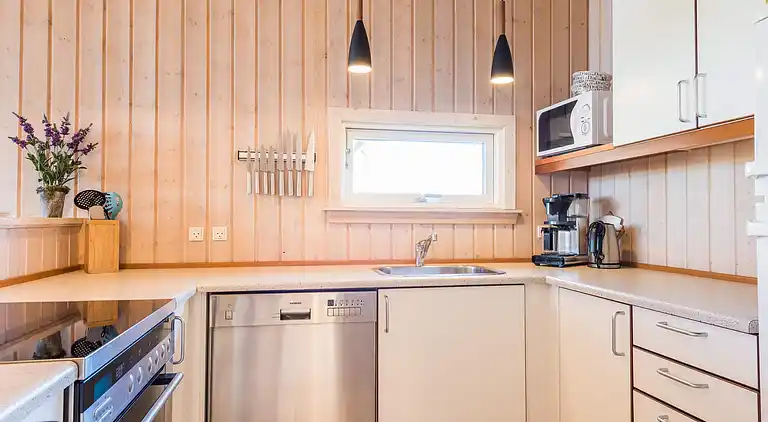 Sommerhus ved Skaven Strand