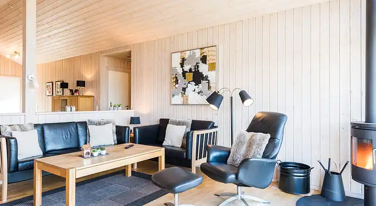 Sommerhus ved Skaven Strand