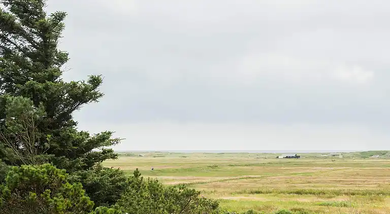 Vakantiehuis in Blåvand