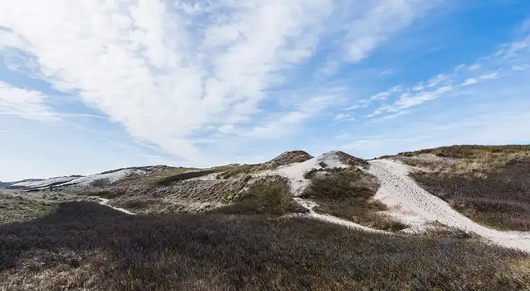 Feriebolig i Ringkobing