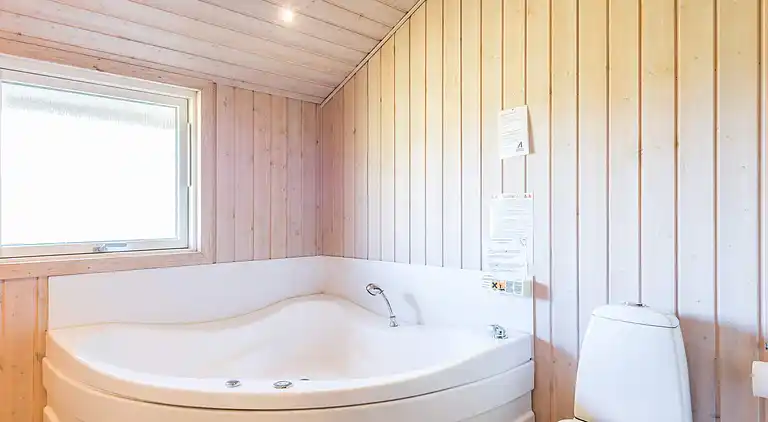 Sommerhus ved Skaven Strand