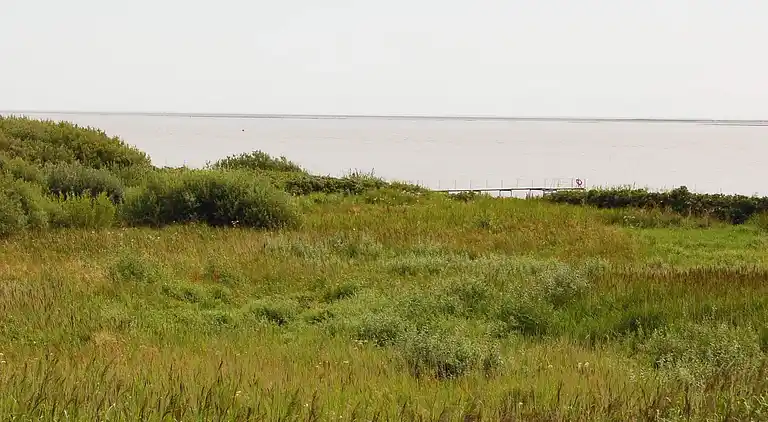 Sommerhus i Esbjerg V