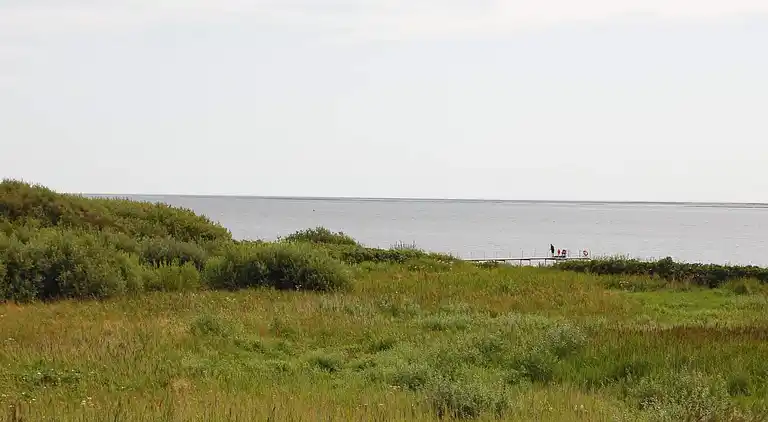 Sommerhus i Esbjerg V