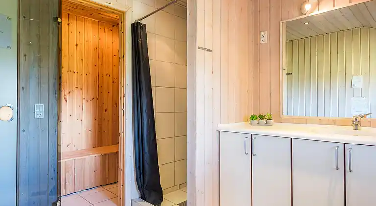 Sommerhus ved Skaven Strand