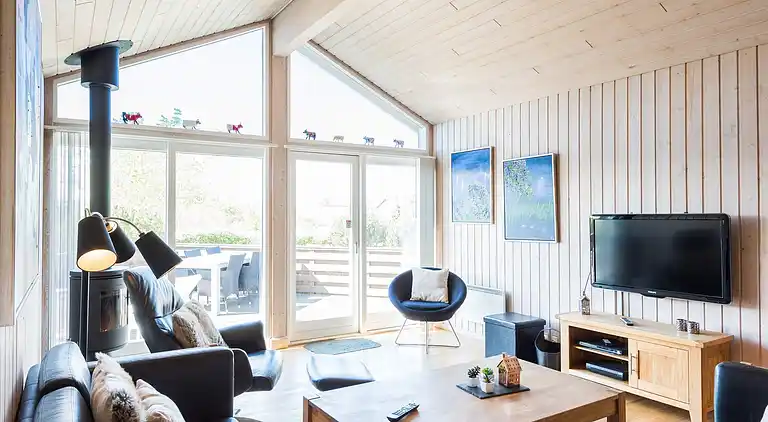 Sommerhus ved Skaven Strand