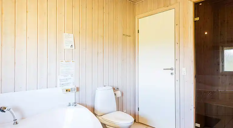 Sommerhus ved Skaven Strand