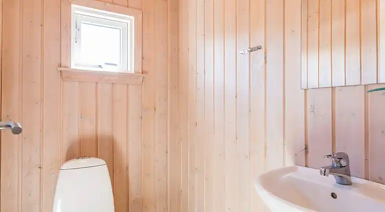 Sommerhus ved Skaven Strand