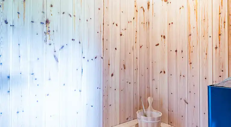 Sommerhus ved Skaven Strand