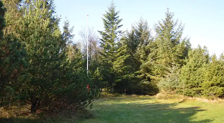 Sommerhus i Blåvand