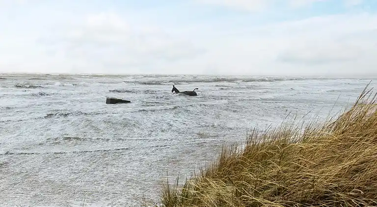 Holiday home in Blåvand