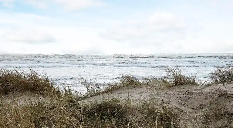Holiday home in Blåvand