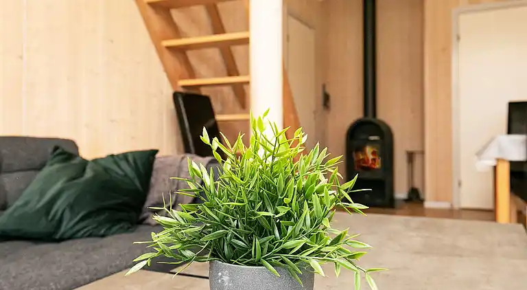 Casa vacanze in Faaborg