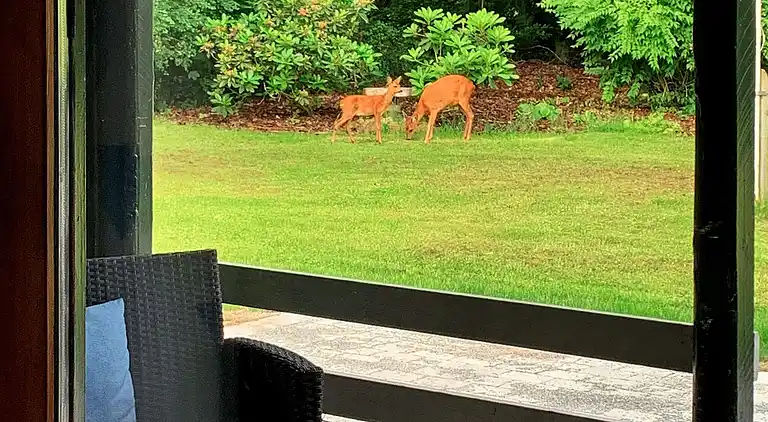 Casa vacanze in Branderup J