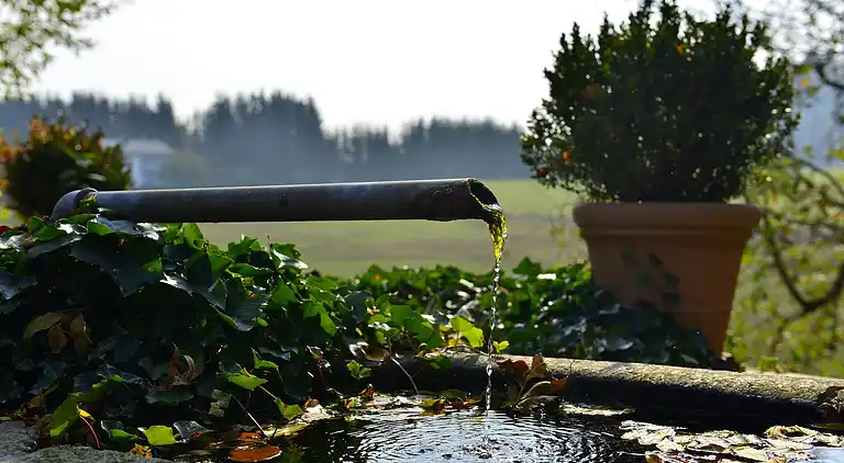 Manor house in Altreichenau