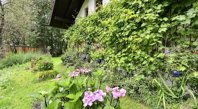 Manor house in Altreichenau