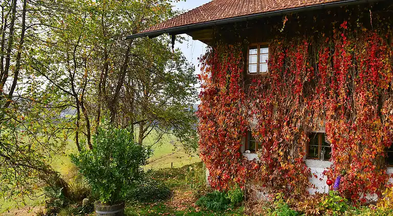 Manor house in Altreichenau