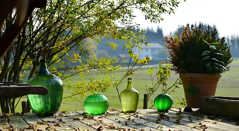 Manor house in Altreichenau