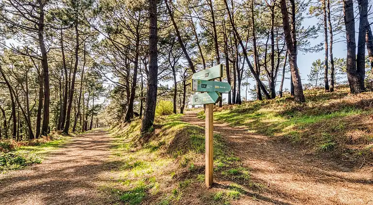 Ferielejlighed i Oleiros