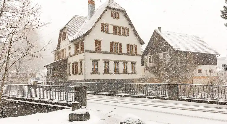 Holiday home in Metzeral