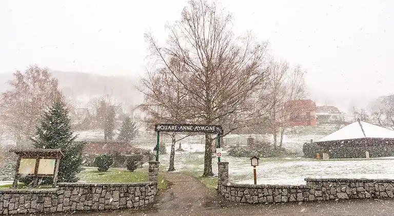 Holiday home in Metzeral