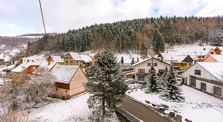 Holiday home in Metzeral