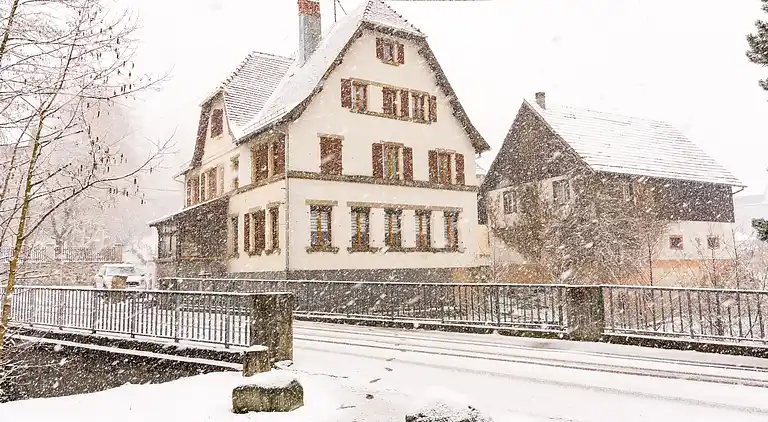 Holiday home in Metzeral