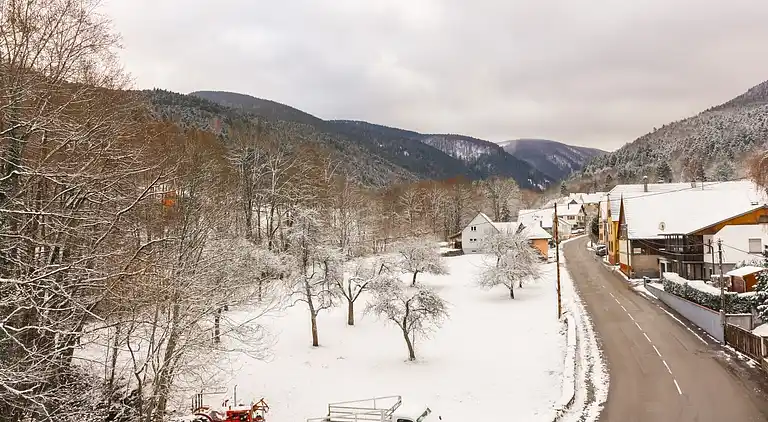 Holiday home in Metzeral