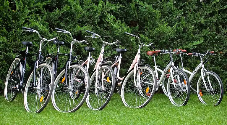 Holiday home in Brtonigla