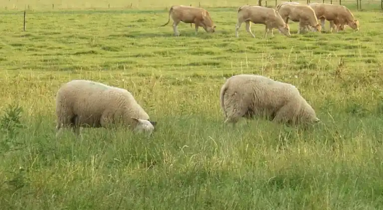 Holiday home in Horssen