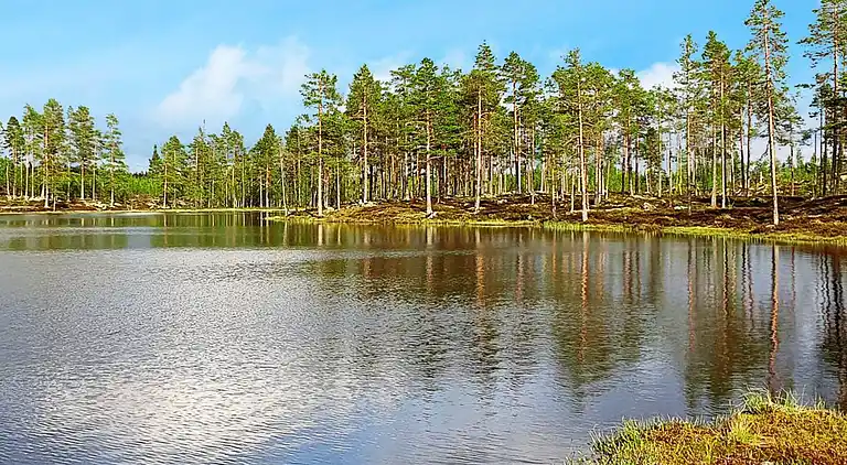 Sommerhus i Malung NV