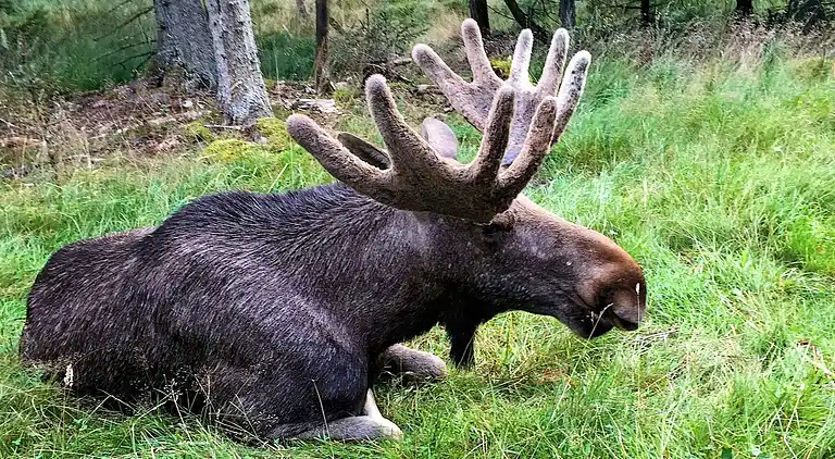 Holiday home in Örkelljunga N