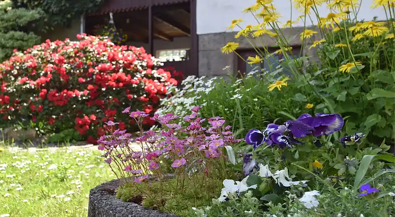 Appartamento in Altersbach