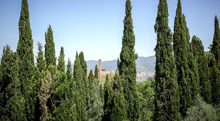 Villa in Castiglion Fiorentino