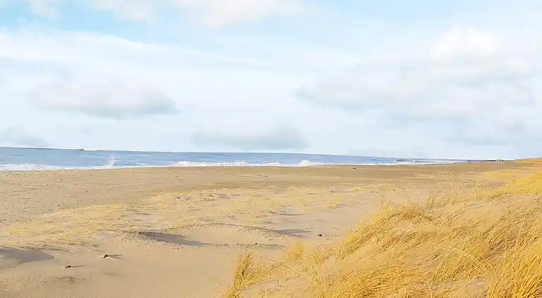 Sommerhus i Harboøre