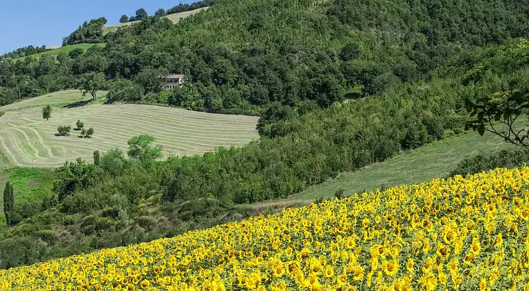 Feriebolig i Capoville