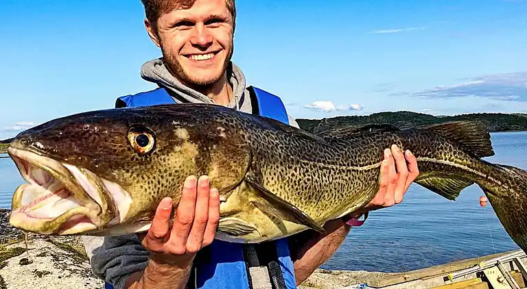 Sommerhus i Hamarøy