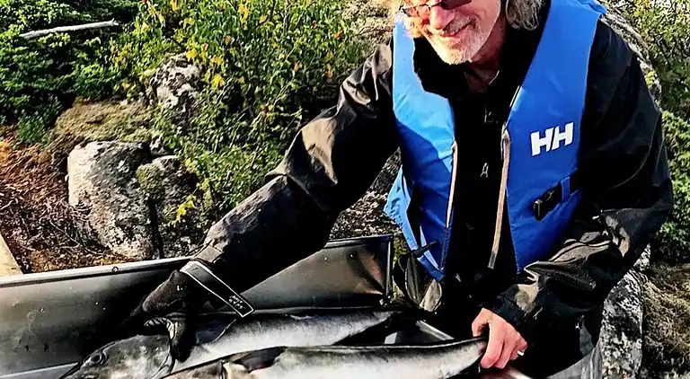 Sommerhus i Hamarøy