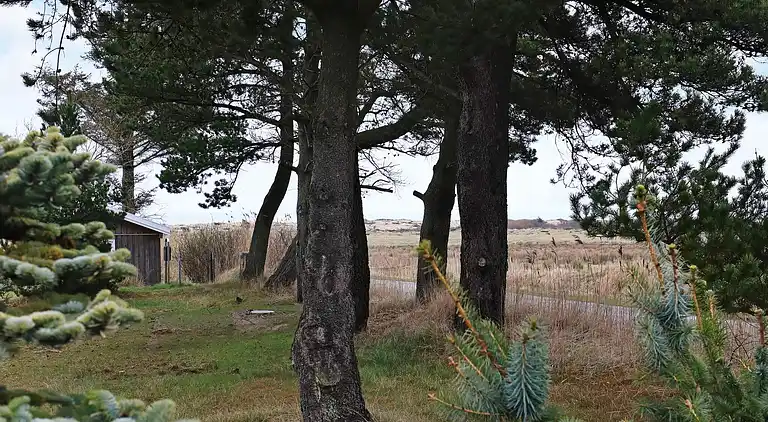 Sommerhus i Hirtshals